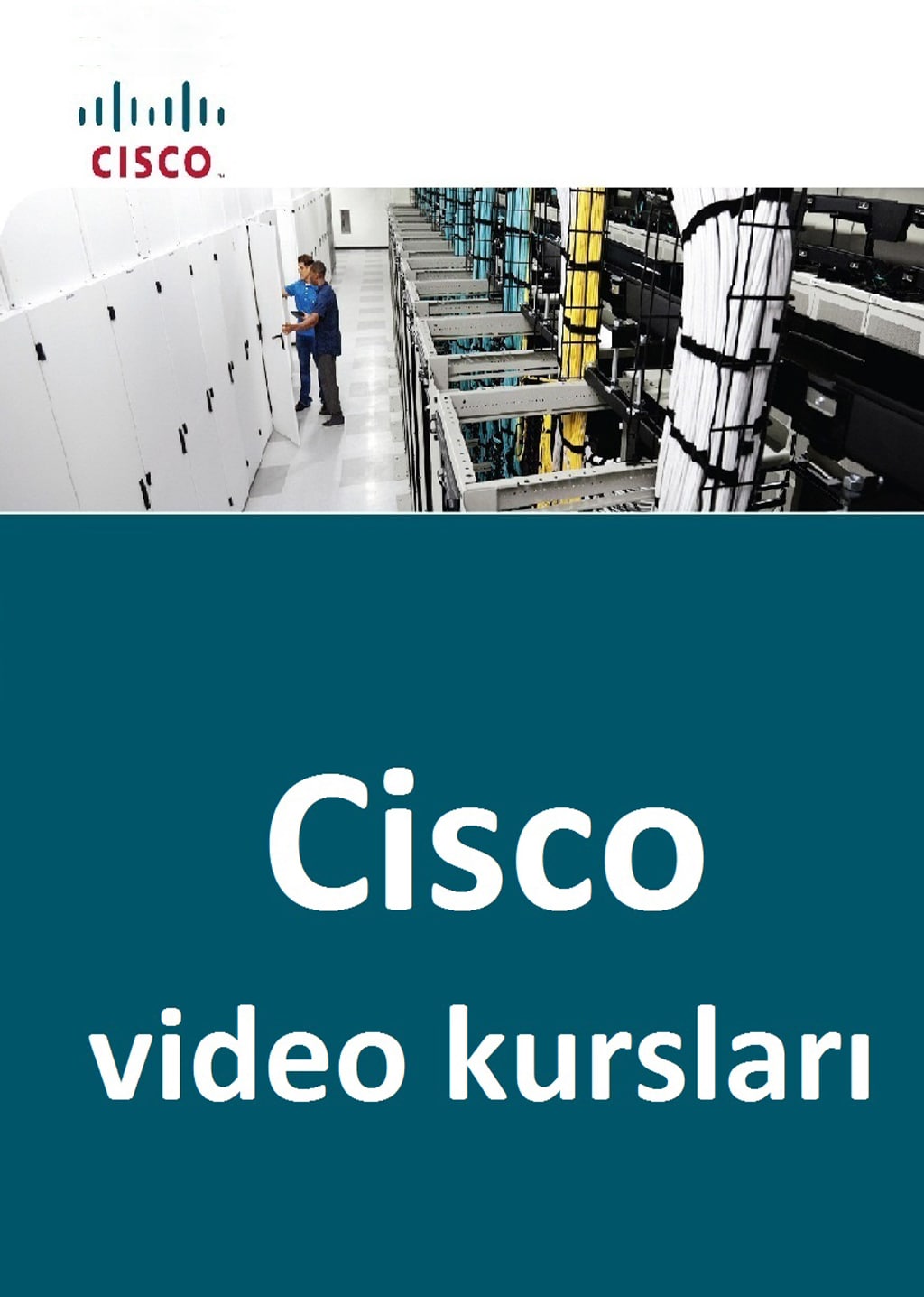 Cisco video kurslari