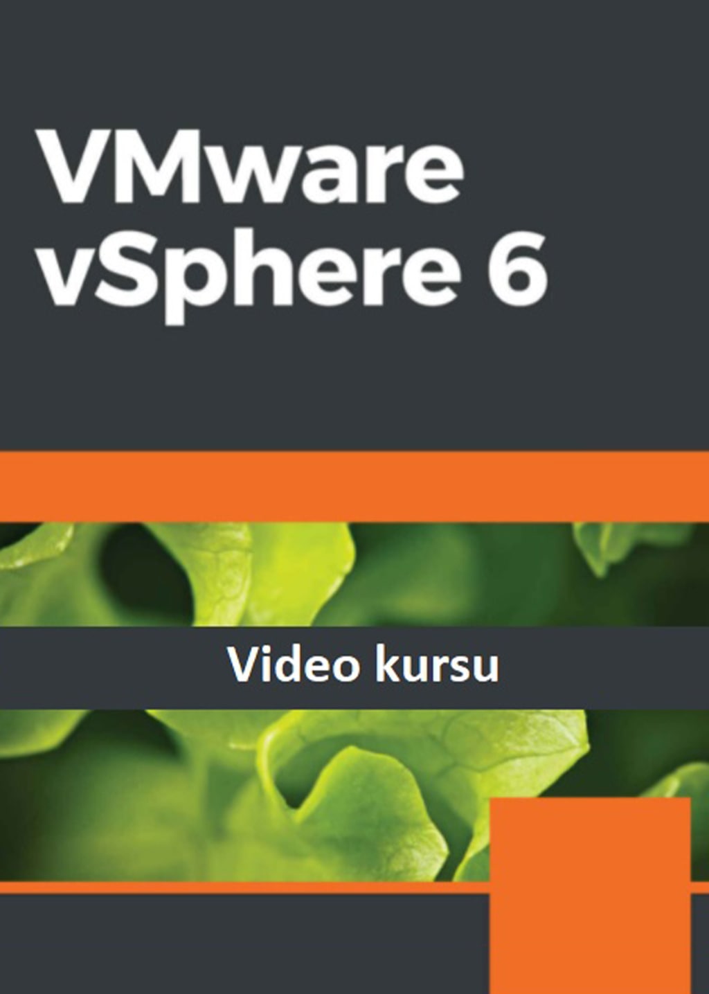 VMware vSphere 6 video kurslari
